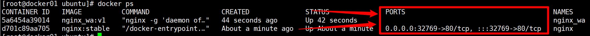 image-20250902160011322