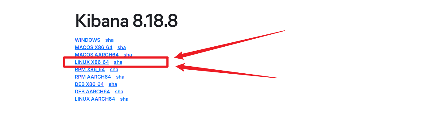 image-20251203164452981