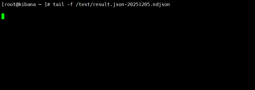 image-20251206132812260
