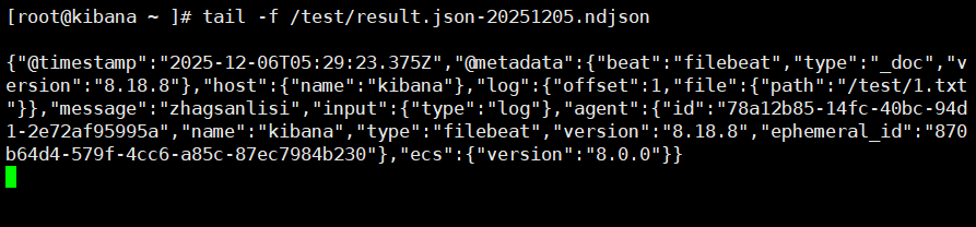 image-20251206133014144
