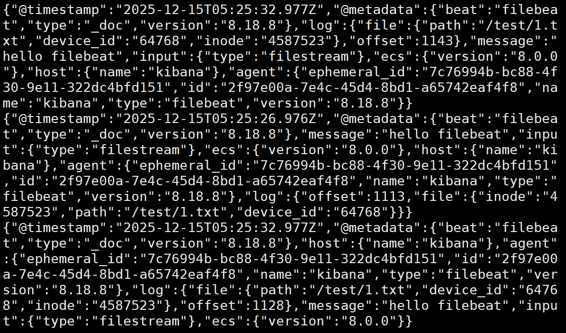 image-20251215133018569
